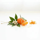 Sweet Orange