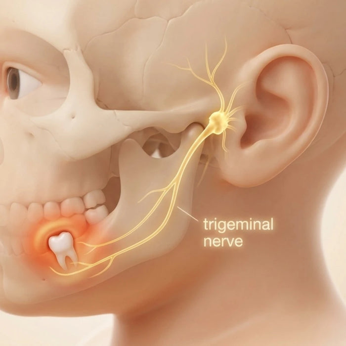 The pain starts behind the gums