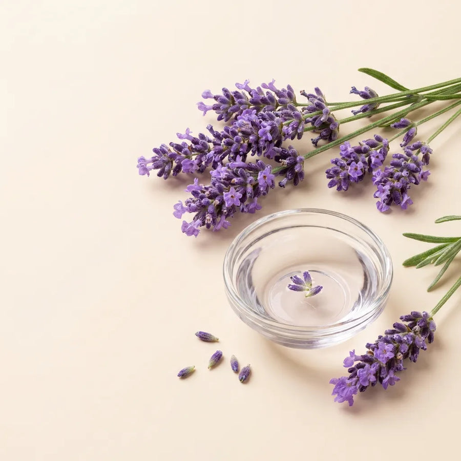 Lavender