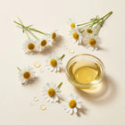 Roman Chamomile