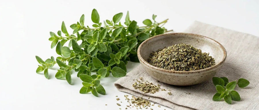 Marjoram