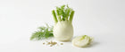 Sweet Fennel
