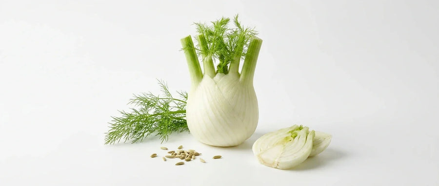 Sweet Fennel